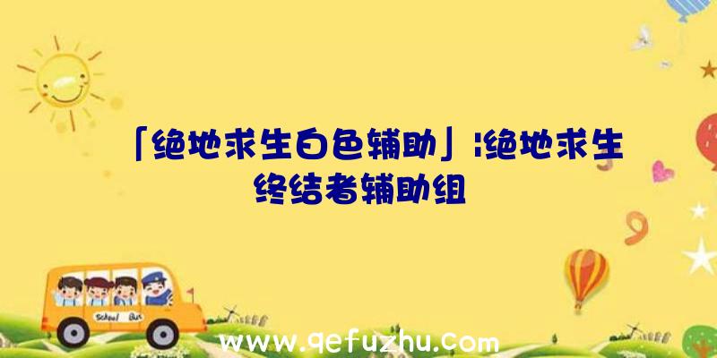 「绝地求生白色辅助」|绝地求生终结者辅助组